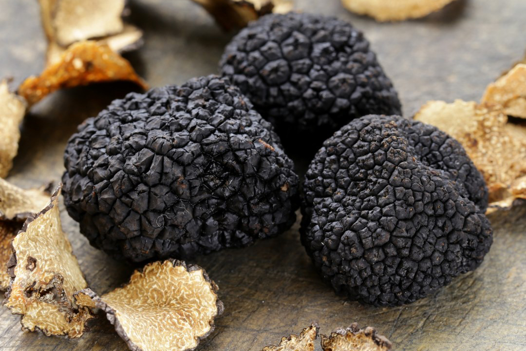 italian truffles