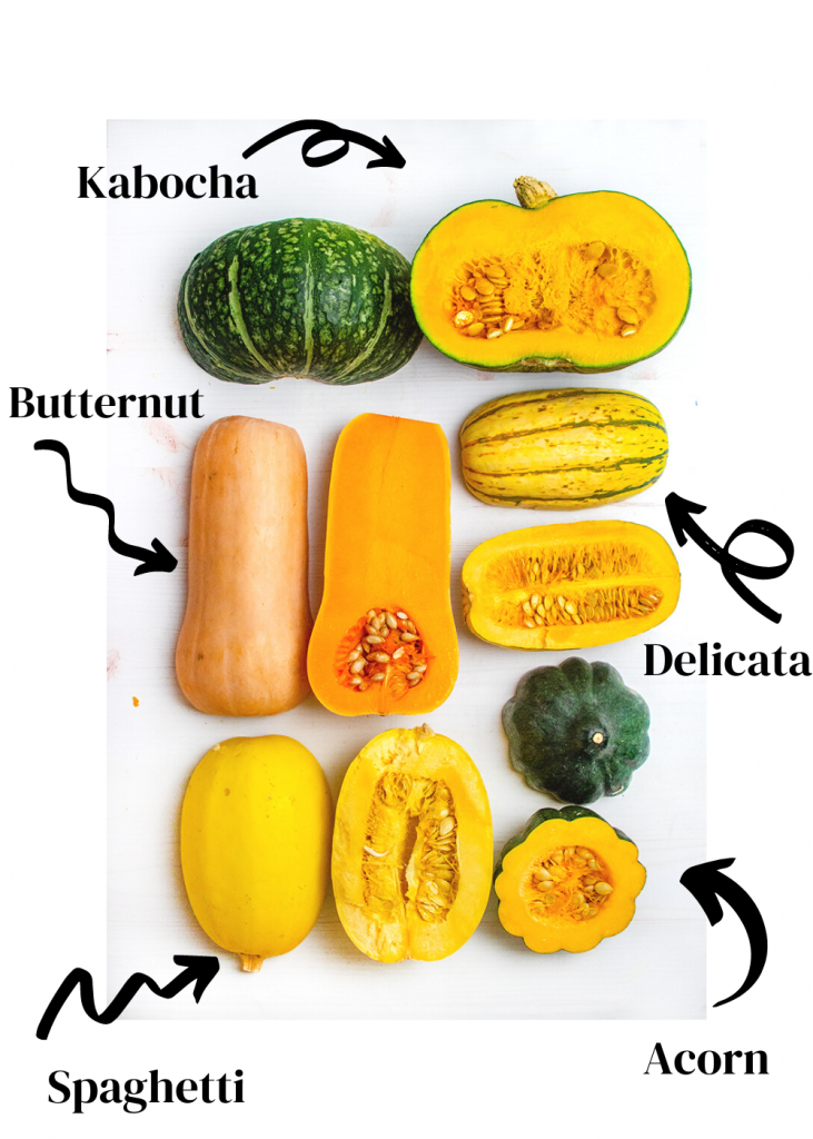 guide to winter squash